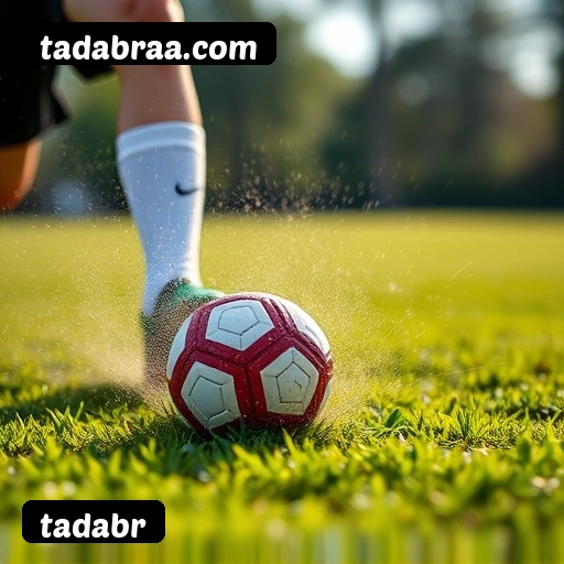 Catálogo tadabr 2.547 jogos - Pragmatic Play, Evolution, NetEnt